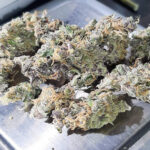 weedstrain